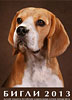 http://beagleclub.ru/catalogues/2013/beagle2013s.jpg